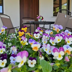 Casa Tre Palmi Casa vacanze